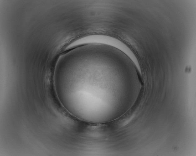 X0000090630072200707311314