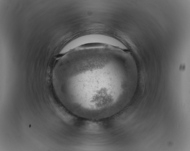 X0000090630073200707311314