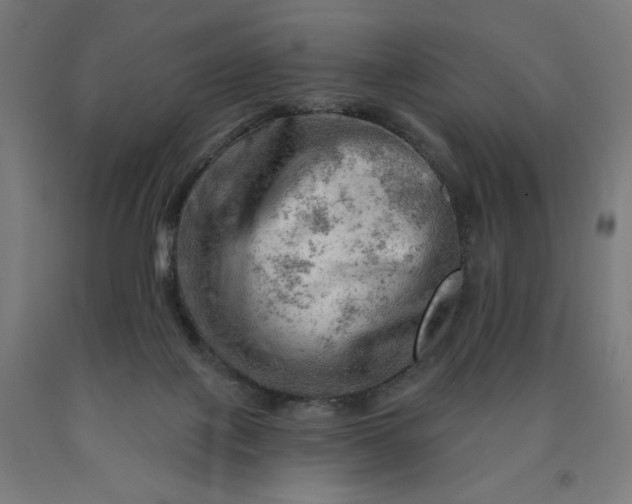 X0000090630075200707311314