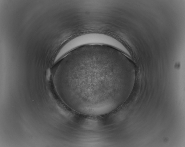 X0000090630076200707311314