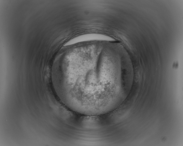 X0000090630077200707311314