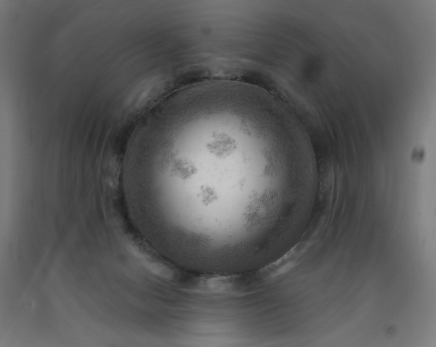 X0000090630078200707311314