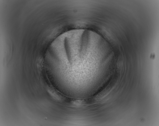 X0000090630079200707311314