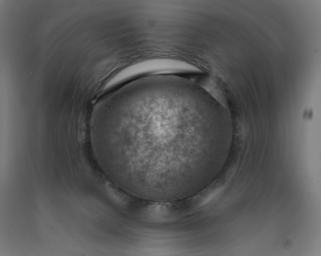 X0000090630080200707311314