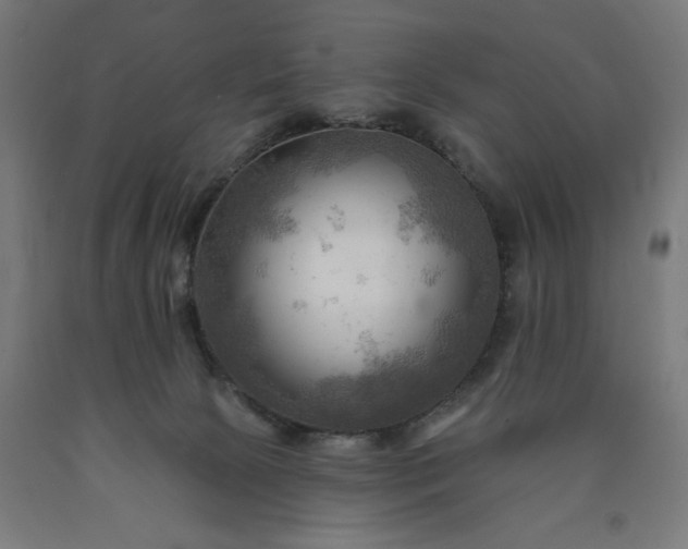 X0000090630081200707311314