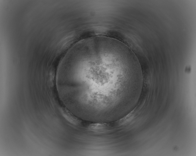 X0000090630082200707311314