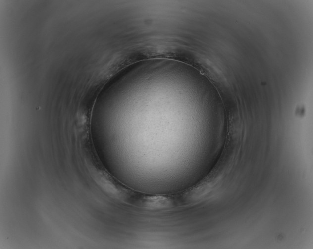 X0000090630087200707311314