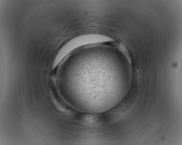 X0000090630088200707311314