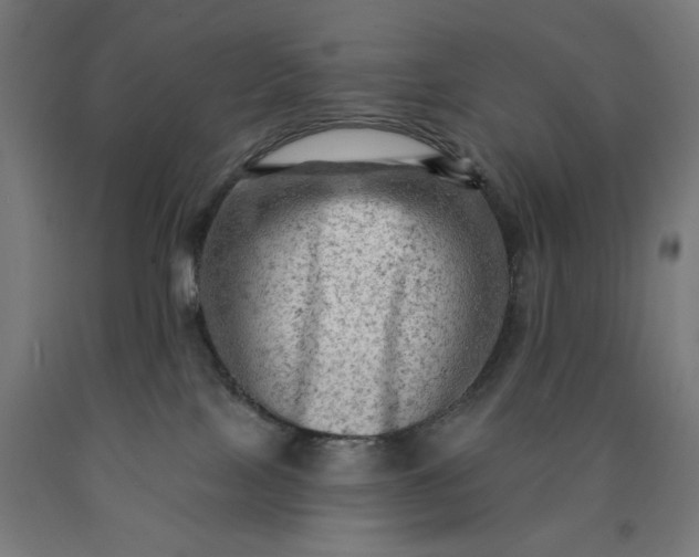 X0000090630089200707311314