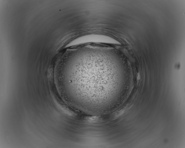 X0000090630092200707311314
