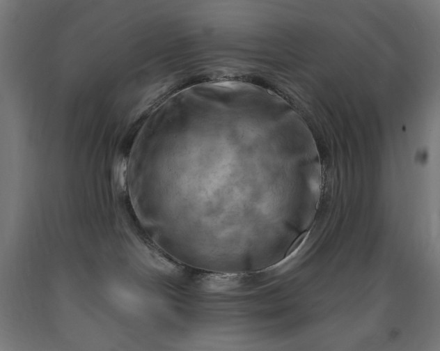 X0000090630094200707311314