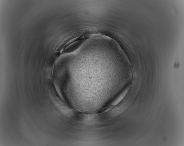 X0000090630096200707311314