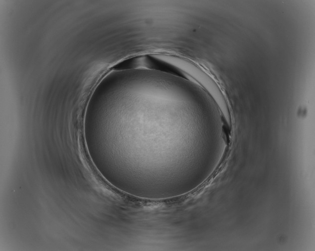 X0000090630097200707311314