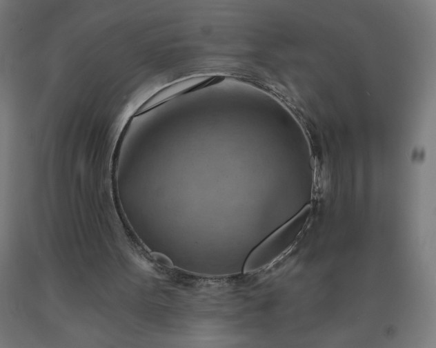 X0000090630099200707311314