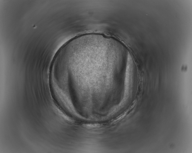 X0000090630100200707311314
