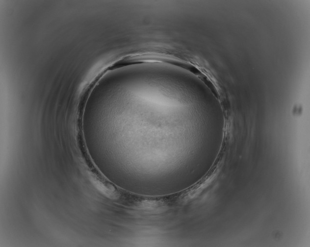 X0000090630101200707311314