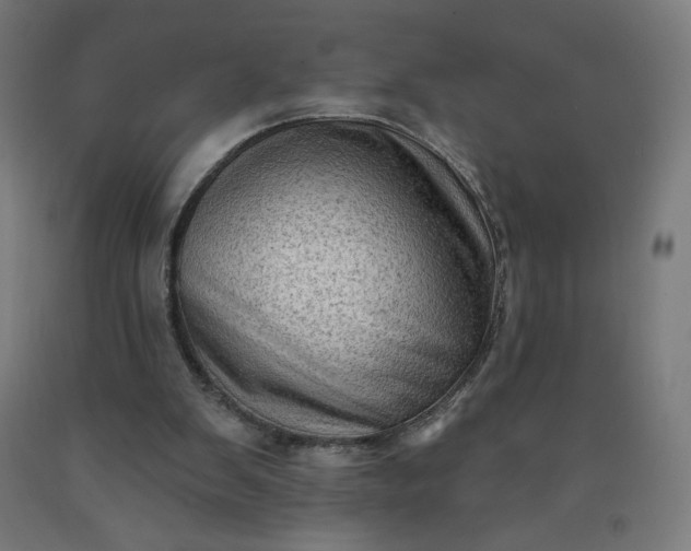 X0000090630103200707311314