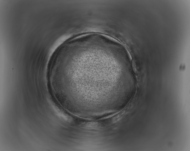 X0000090630104200707311314