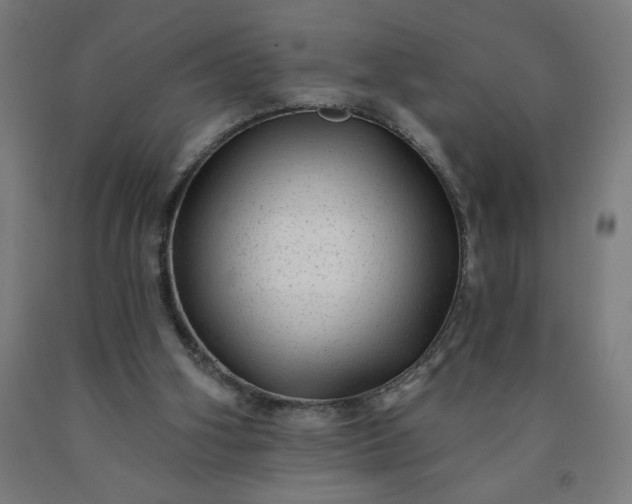 X0000090630106200707311314