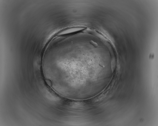 X0000090630107200707311314