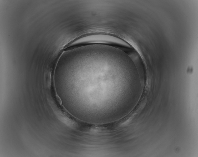 X0000090630109200707311314