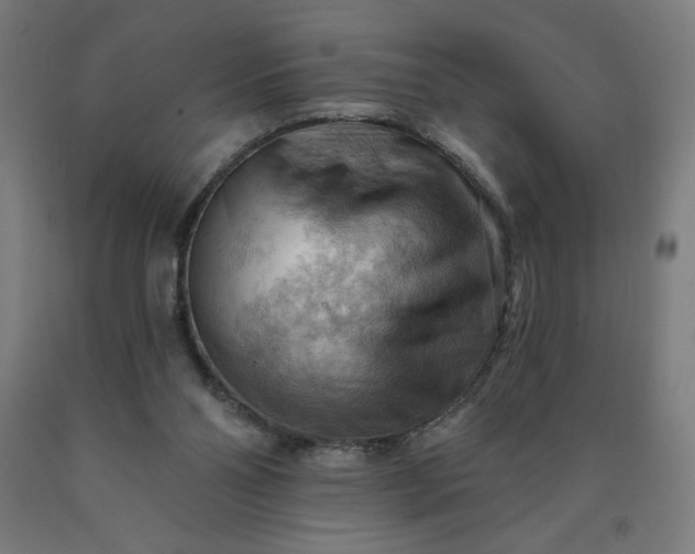 X0000090630110200707311314