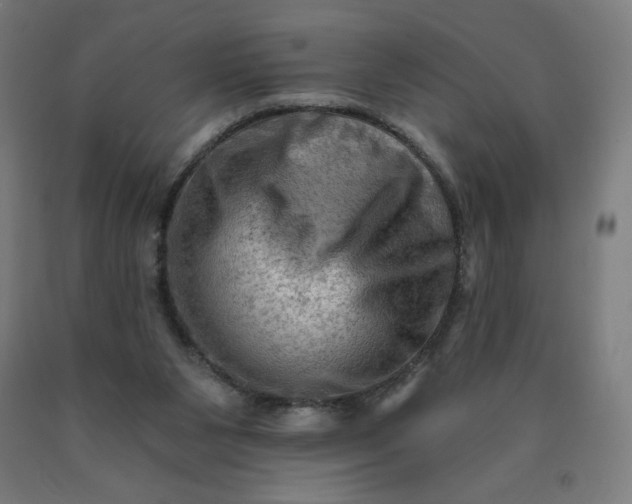 X0000090630111200707311314