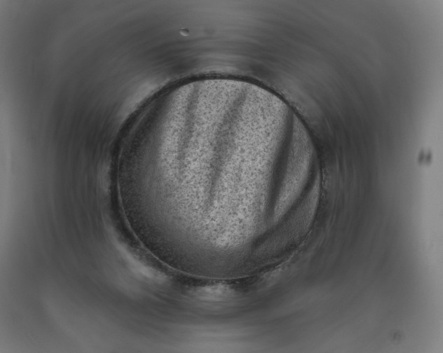 X0000090630112200707311314
