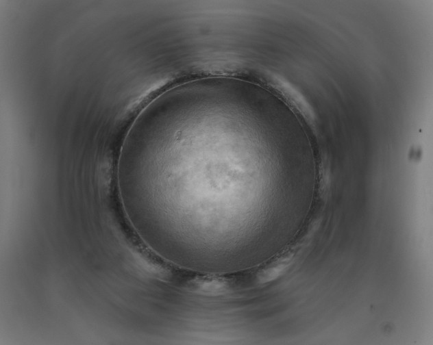 X0000090630113200707311314