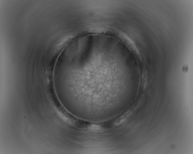 X0000090630114200707311314