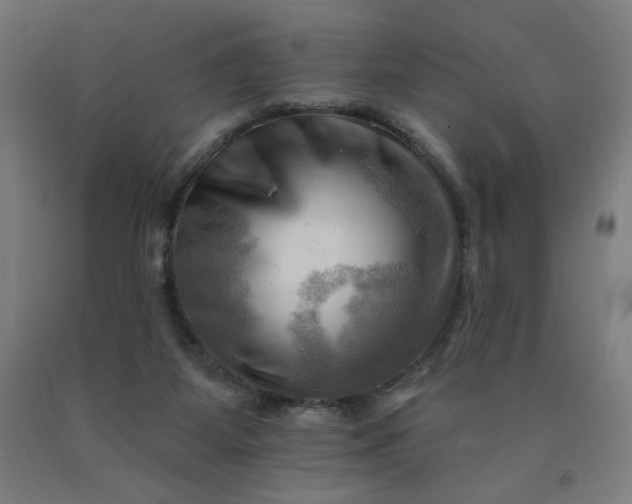 X0000090630115200707311314
