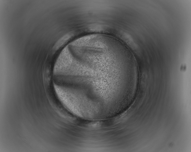 X0000090630116200707311314