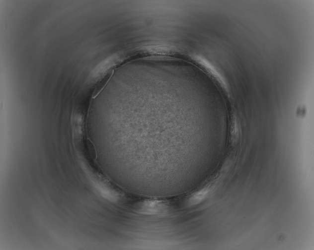 X0000090630117200707311314