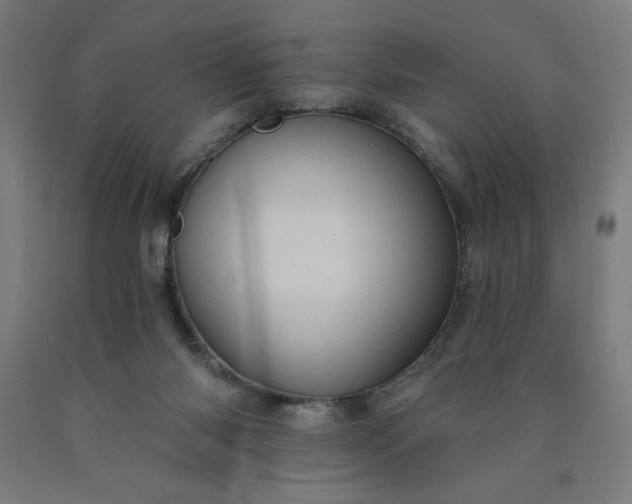 X0000090630118200707311314