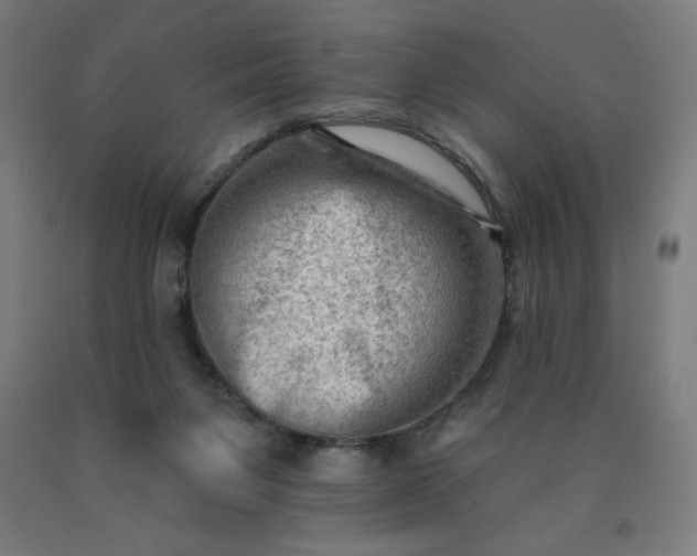 X0000090630119200707311314