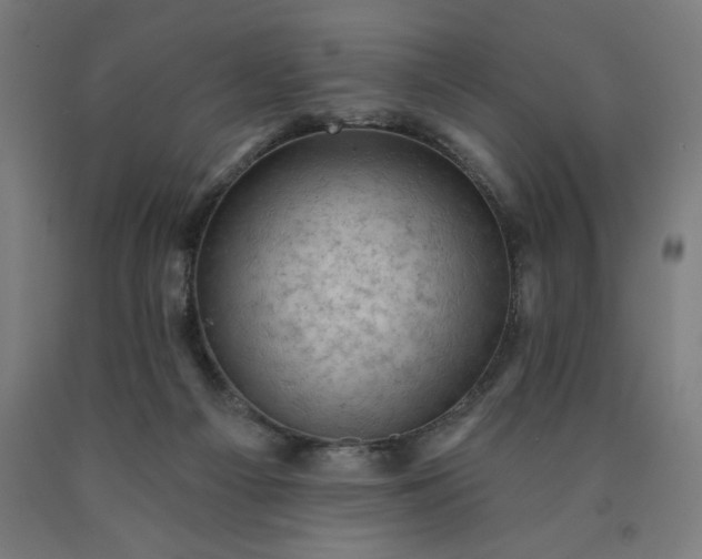 X0000090630121200707311314