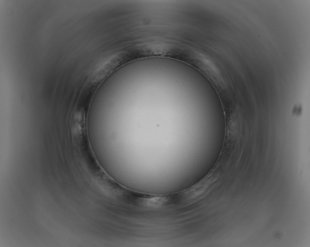 X0000090630122200707311314