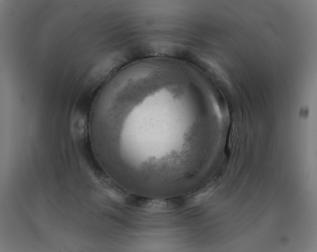 X0000090630123200707311314