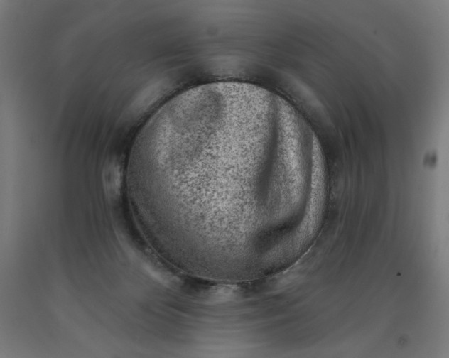 X0000090630124200707311314