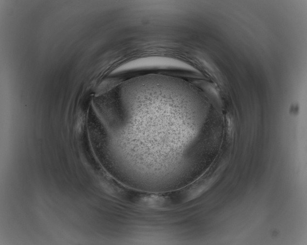 X0000090630125200707311314