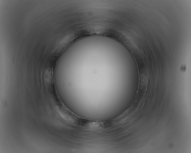 X0000090630126200707311313