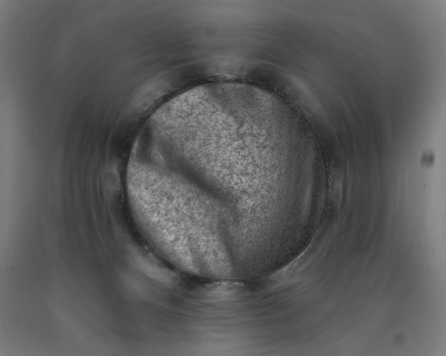 X0000090630128200707311313