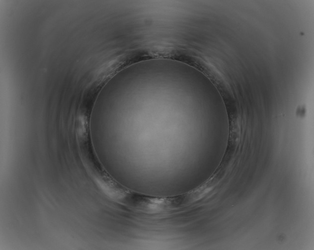 X0000090630130200707311313