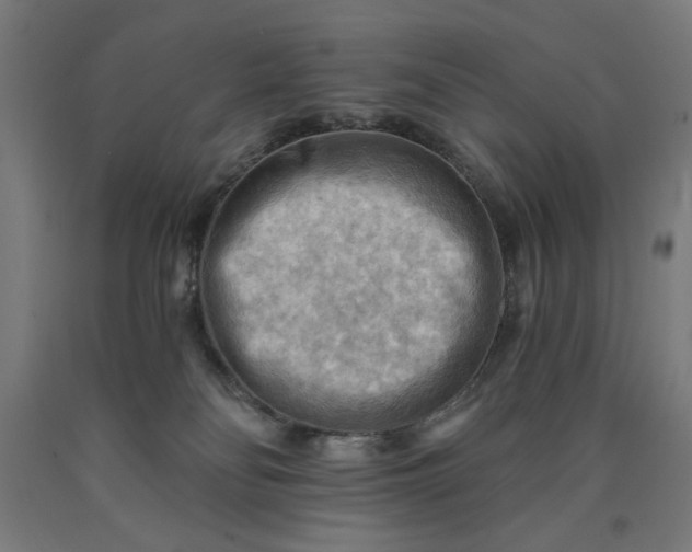 X0000090630134200707311313