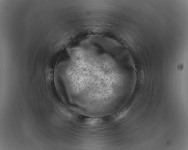 X0000090630135200707311313