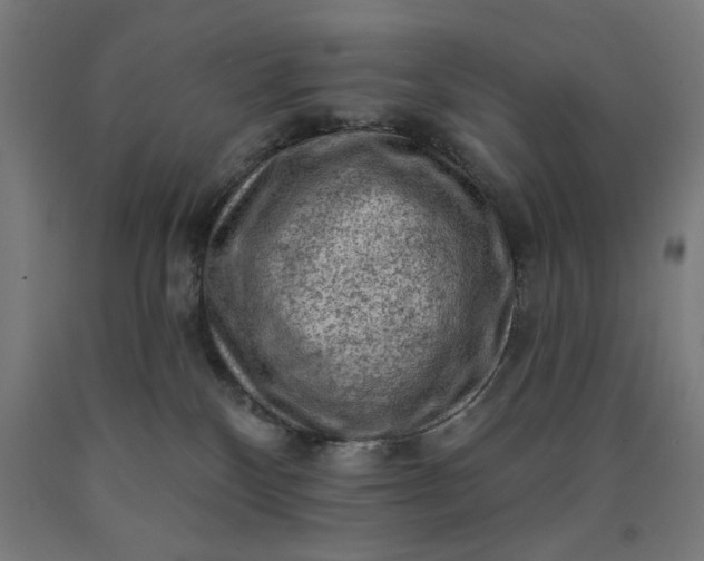 X0000090630136200707311313