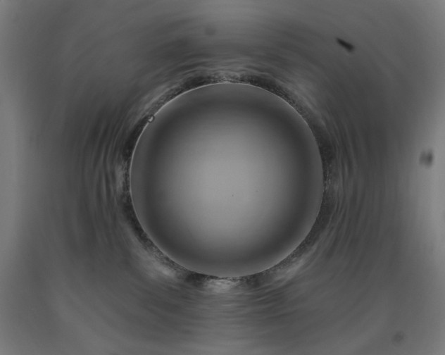 X0000090630139200707311313