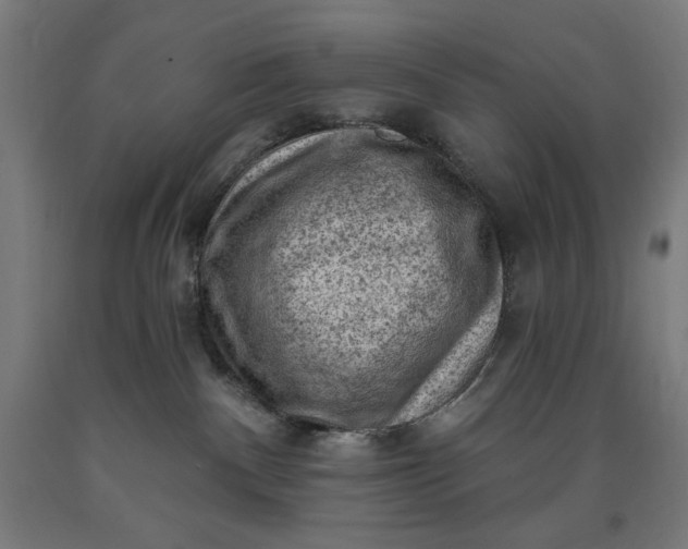 X0000090630140200707311313