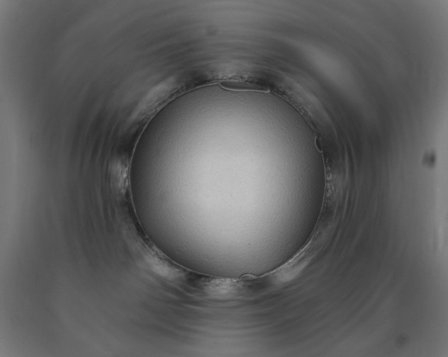 X0000090630142200707311313
