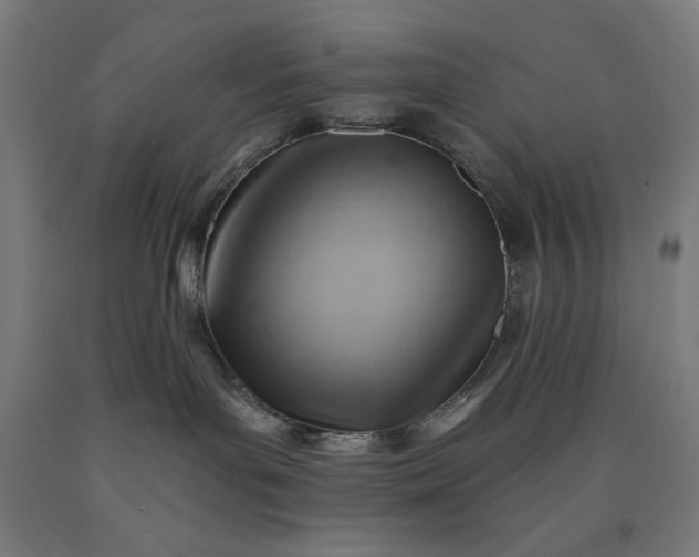 X0000090630143200707311313